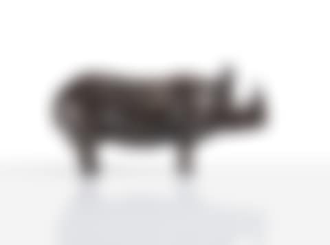 Petit Rhinocéros II (preview)
