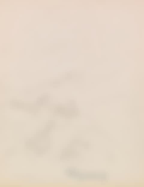 Gestürzte Wetterfichte (preview)