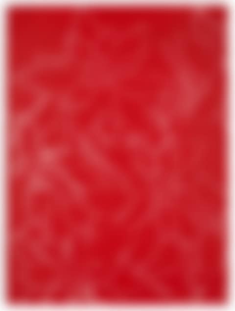 Poinsettias (preview)