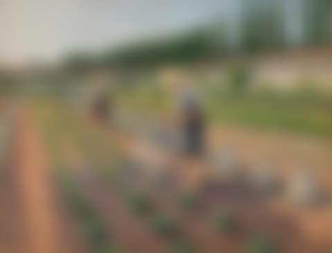 Les Jardiniers (preview)