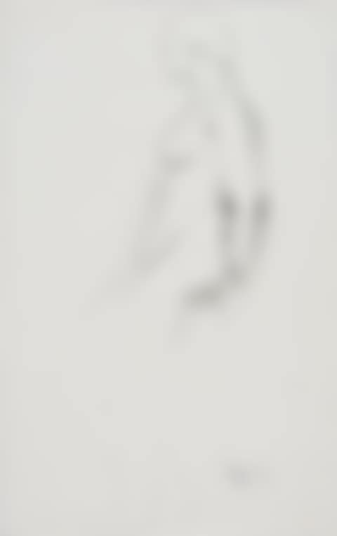 Croquis, Nu debout (preview)