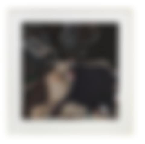 Photofictions Couch Potato 7 (preview)