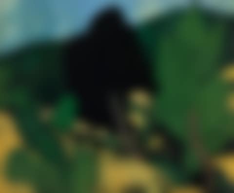 Paysage à Cassis (preview)