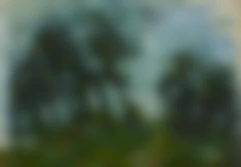 Paysage (preview)