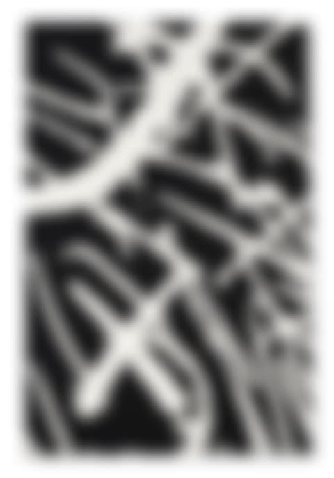 Untitled (MBFN1) (preview)
