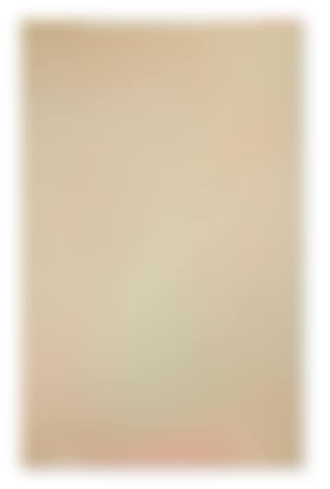 Pushkin Light 2 (preview)