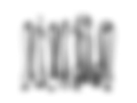 Extrapolated Morphology (preview)