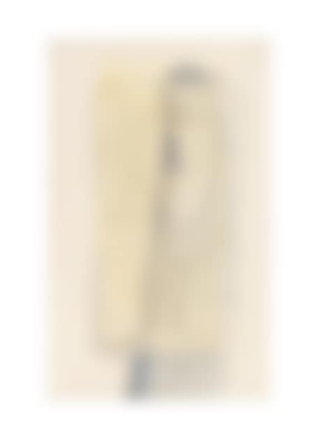 Untitled (preview)
