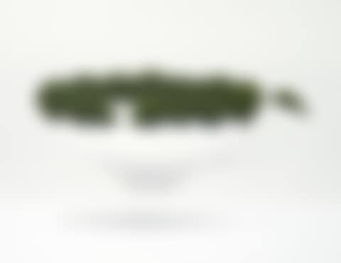 커피잔 이끼 (preview)