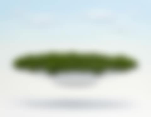 그릇이끼 (preview)