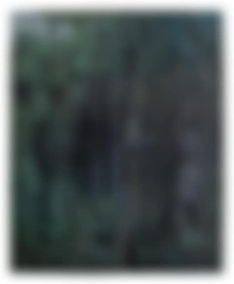 Selva tropical I (preview)