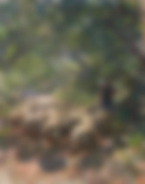 Schafherde mit Hirtin im schattigen Hohlweg (preview)