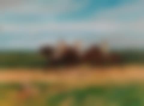 Ausritt (preview)