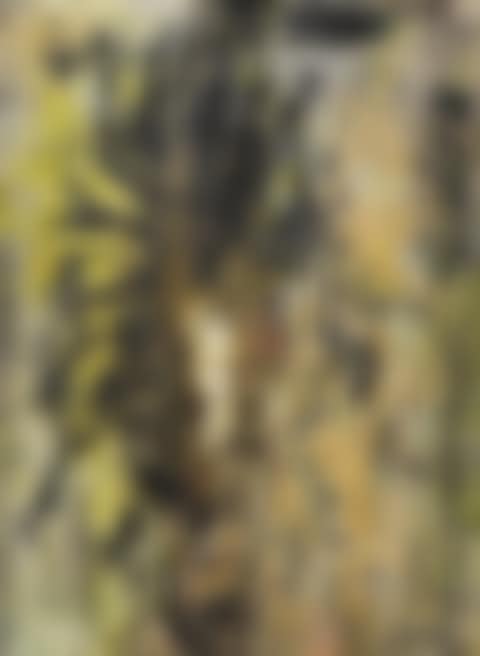 Ohne Titel (preview)