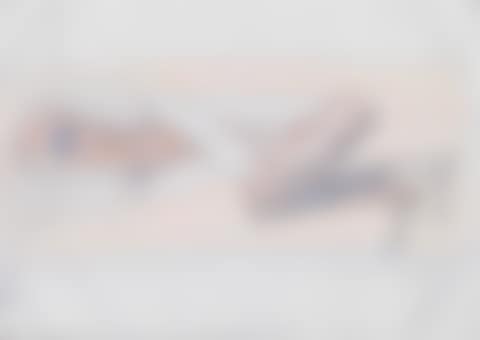 Liegender (preview)