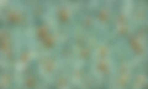 Recurrence (preview)