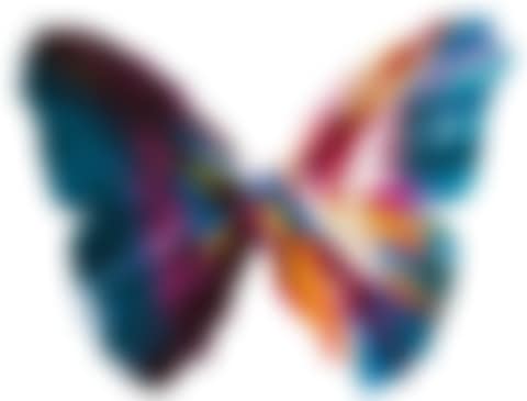 Spin Painting- Butterfly (preview)