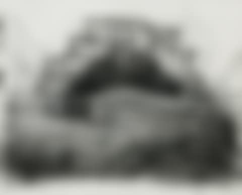 Soho in Bed with Rhinoceros' (Drawing for Mine ) (preview)