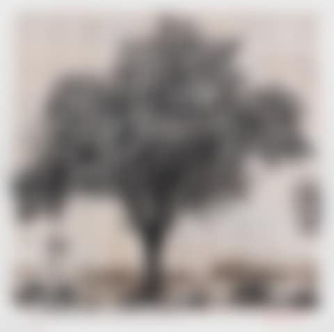 A Sonnet That I Never Wrote (preview)