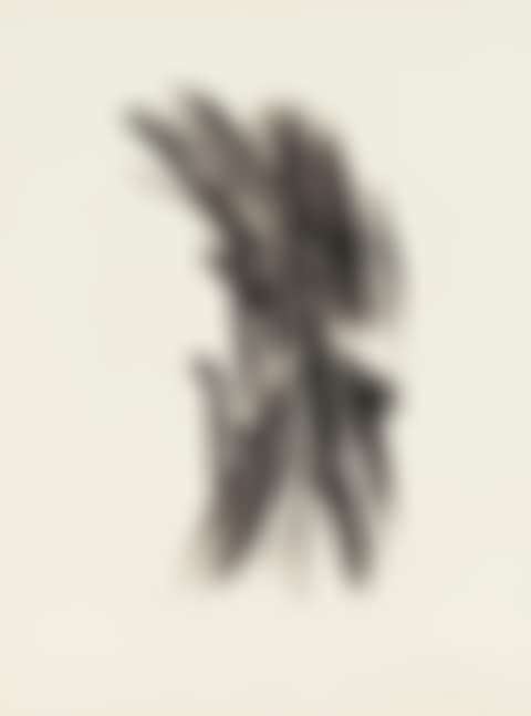 L 43 (preview)