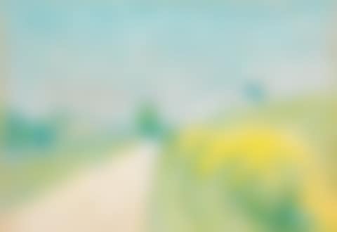 Le chemin de village, avec genêts en fleurs (Cailhau) (preview)