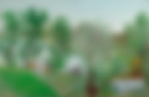 The Lake (Unfinished) (preview)