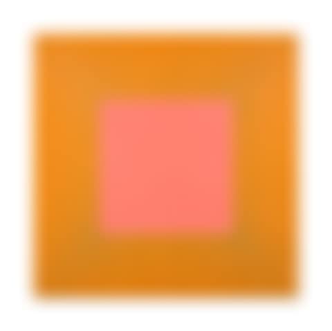 Pale Rose Square   (preview)