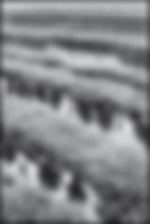 Jardins du Palais Royal (preview)