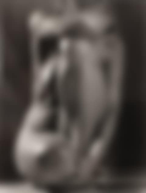 Classic Torso (preview)
