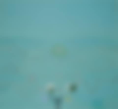 The Silent Sky (preview)