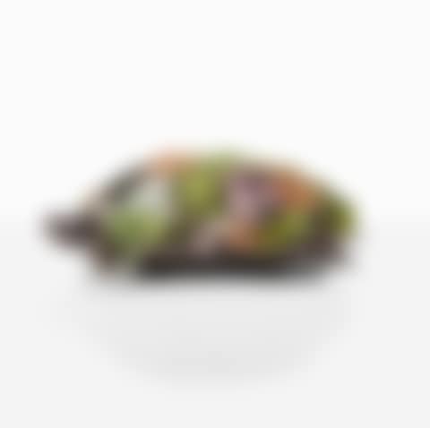 Tortue Topiaire I (preview)