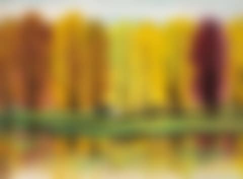 Autumn Forest (preview)