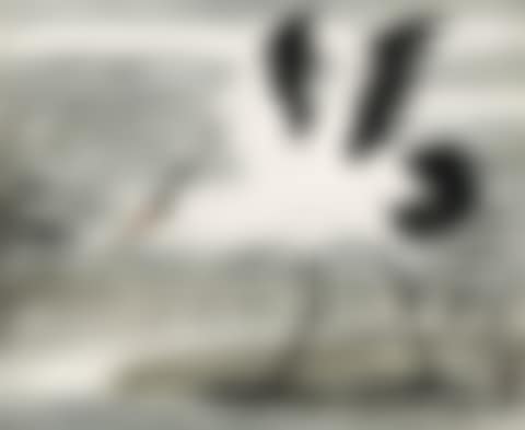 Egret and Reeds (preview)