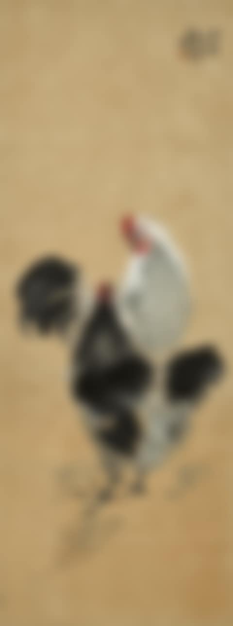 Two Chickens (preview)