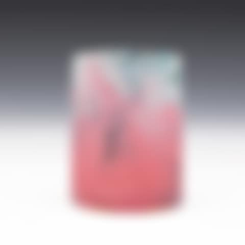INSECT VESSEL (preview)