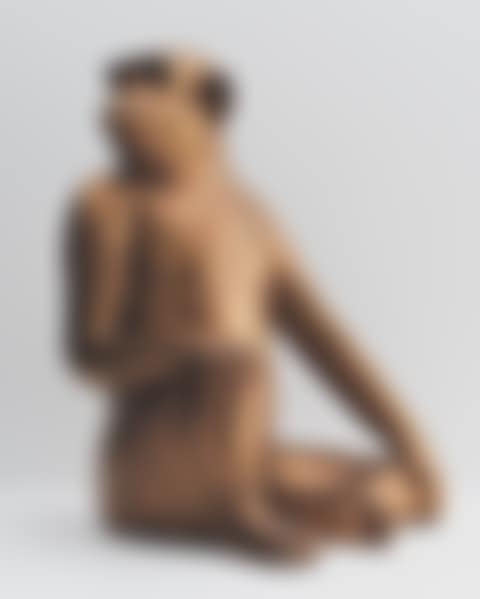 SINGE AVISÉ (MOYEN) (preview)