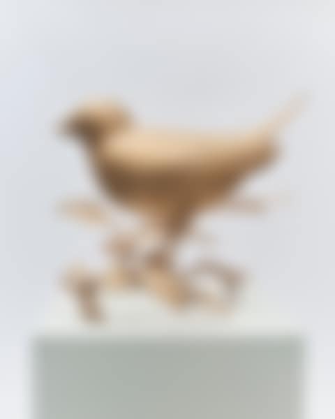 LE GRAND OISEAU DE PETER BRANCHÉ (preview)