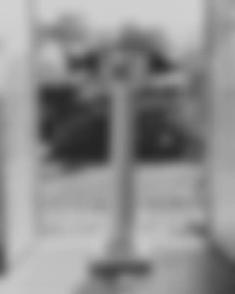 POISSON PAYSAGE I (preview)