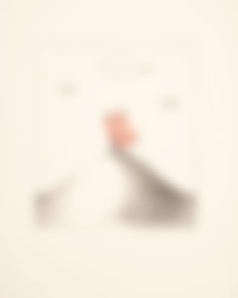 SEIN PAPILLON (preview)