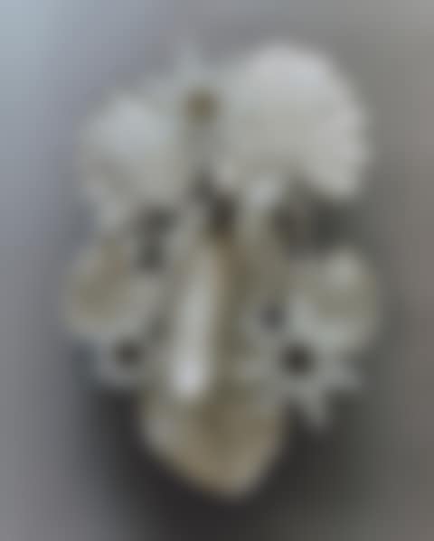 HISTOIRES NATURELLES, POULE D’EAU CENTERPIECE (preview)