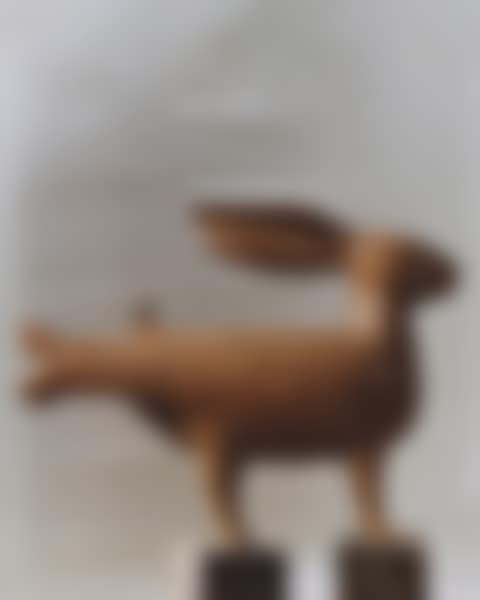 LAPIN POLYMORPHE (MOYEN) (preview)