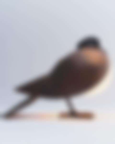 PIGEON TABLE LAMP (preview)