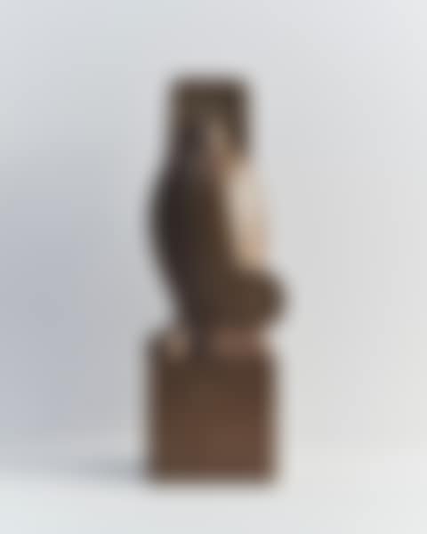 HIBOU DE MERYLL (preview)