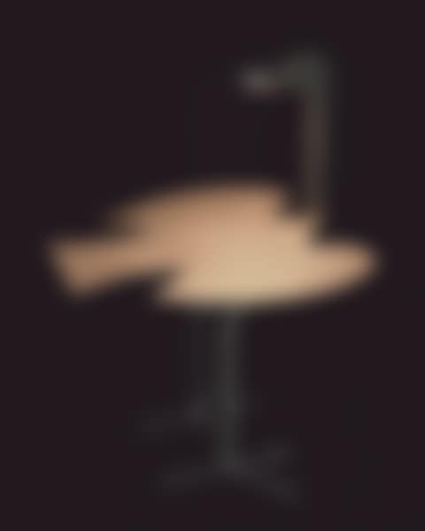 OISEAU D'ARGENT ÉCLAIRANT UNE TABLE (preview)