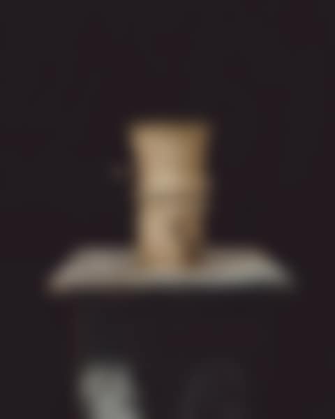 VASE AU SERPENT (preview)