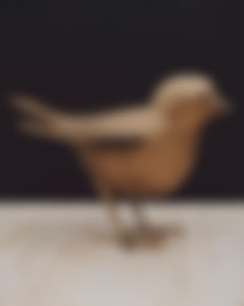 OISEAU DE JARDIN III A (preview)