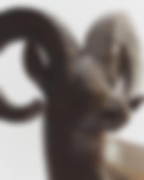 GRAND MOUFLON DE RAM ISLAND (preview)