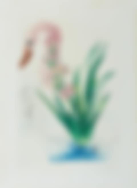 Polyanthes tyberosa et cygnus vegetalis (preview)