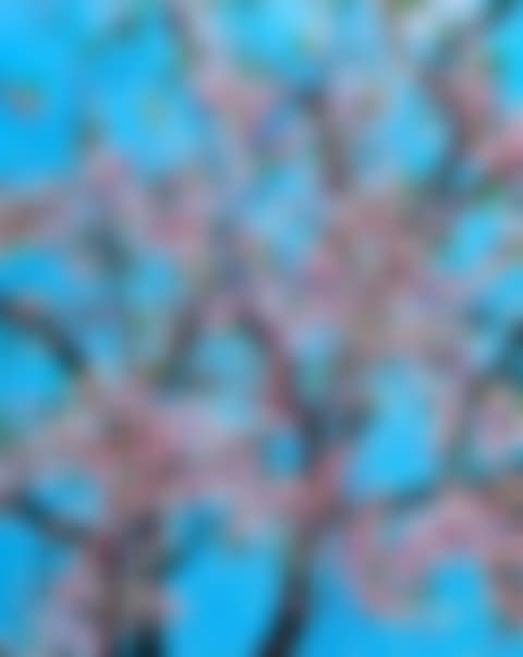 Politeness (preview)