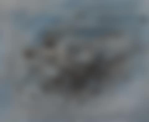 Untitled (preview)